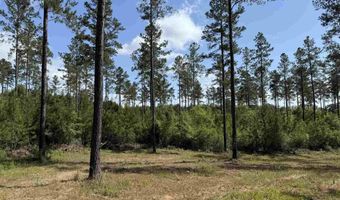 8450 Robinsonville Rd, Atmore, AL 36502