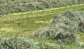 Lot 1 Highway 550, Montrose, CO 81403