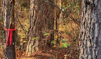 0 County Road 25, Reform, AL 35481