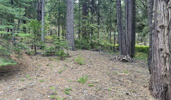 37 Iroquois Dr, Camp Connell, CA 95223