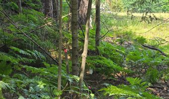 Off HWY 51, Arbor Vitae, WI 54521