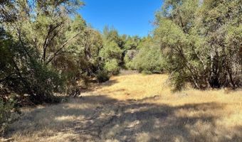 41902 Woodward Way, Ahwahnee, CA 93601