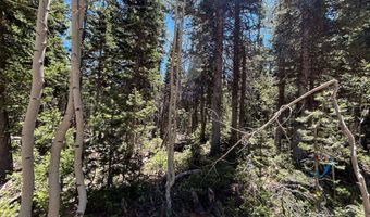 713 S PAINTBRUSH St, Brian Head, UT 84719