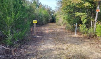 NW Tommy Tucker Road lot 1, Altha, FL 32421