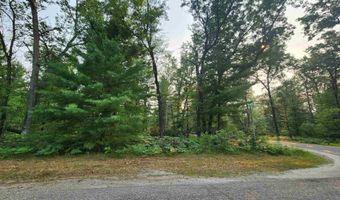 Lot 98 Wilderness, Alger, MI 48610