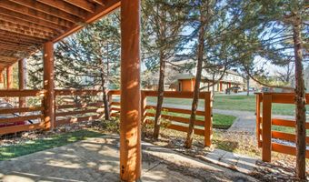 536 Evans Ct, Basalt, CO 81621