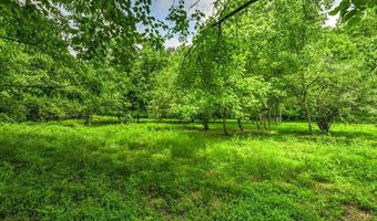Stone Ridge Drive, Andersonville, TN 37705