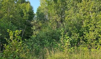 Track A Hwy 87, Backus, MN 56435