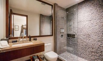 1564 Silver King Dr A, Aspen, CO 81611