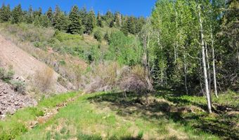 Braffits Creek Lot 61 & 62, Brian Head, UT 84719