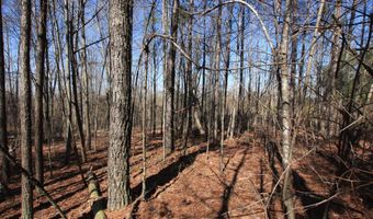 0 Highway 100, Tallapoosa, GA 30176