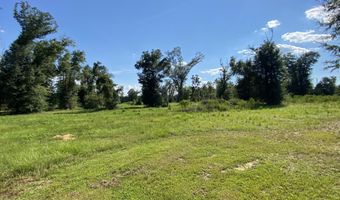 7960 NW County Road 274, Altha, FL 32421