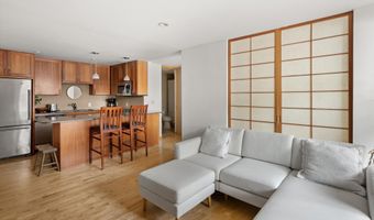 935 E Hopkins Ave 7, Aspen, CO 81611