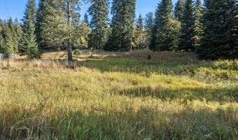 2376 Little Blacktail Rd, Careywood, ID 83809