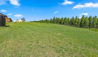 33676 Hilltop Ter, Bigfork, MT 59911