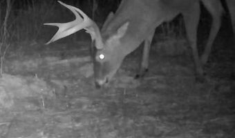 Hwy 9, Bruce, MS 38915