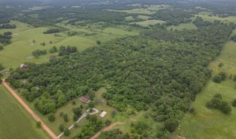 748 Puckett Rd, Anderson, MO 64831