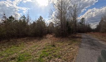 Saint John Road, Braxton, MS 39044
