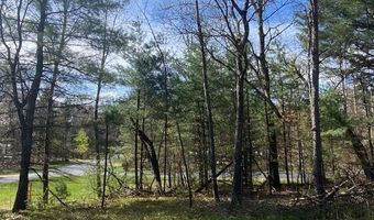 E 17th Lane lot 57, Arkdale, WI 54613