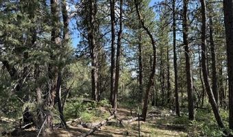 Sandpiper Ln, Beatty, OR 97621