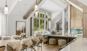 5387 Castle Creek Rd, Aspen, CO 81612
