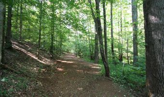 TBA BETTYS BRANCH RD X, Arvonia, VA 23004