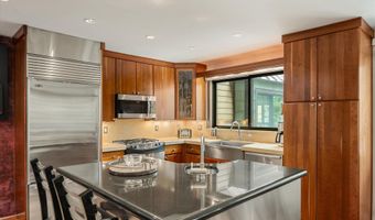 650 S Monarch St 9, Aspen, CO 81611