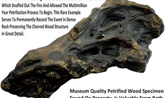 unspecified, Gerlach, NV 89412