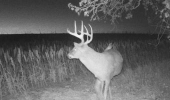 00000 CR 140, Alexander, KS 67513