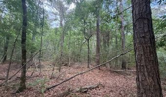 Carbon Plant Road, Bastrop, LA 71220