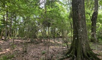 2132 Busby Trl, Brookhaven, MS 39601