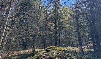 tbd Big Sky Lane, Banner Elk, NC 28604