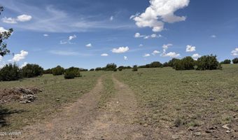 141 N8515, Concho, AZ 85924