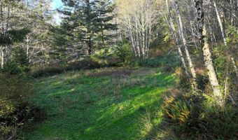 17360 MOUNTAIN Dr, Brookings, OR 97415