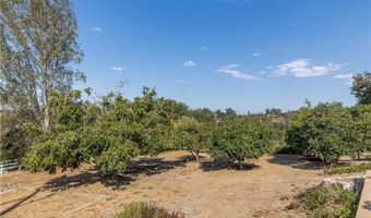 1581 Sycamore Dr, Fallbrook, CA 92028