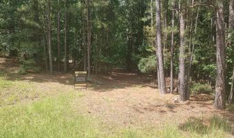 203 Saluda Bluff Rd Rd, Batesburg Leesville, SC 29006