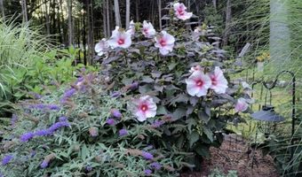 64 Miller Road Ext, Barre, VT 05641