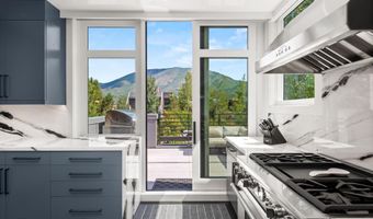 627 E Hopkins Ave, Aspen, CO 81611