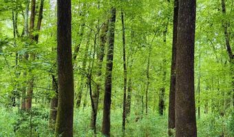 52 Penny Creek Rd, Abbeville, SC 29620