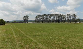 Tbd Highway 11w, Bean Station, TN 37708