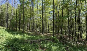 Bear Hill Road, Brookfield, VT 05036