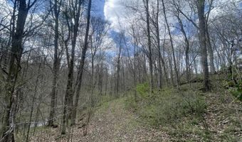 2375 Antioch Church Rd, Alvaton, KY 42122