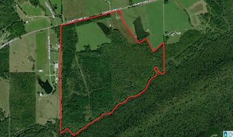6150 SHOAL CREEK Rd 124+/- Acres, Ashville, AL 35953