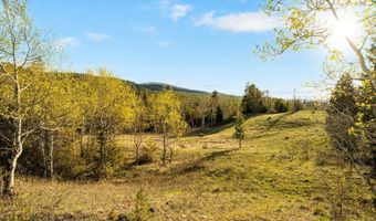 1470 Lime Spur Rd & 44 Two Meadows Dr, Anaconda, MT 59711
