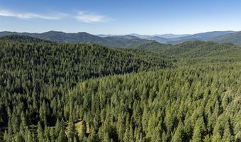 Hungry Ridge, Ashland, OR 97520
