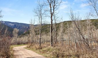 Tbd Spinnaker Lane, Basalt, CO 81621