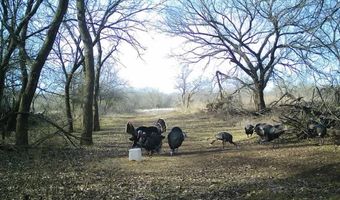 1299 E US HWY 160, Argonia, KS 67004