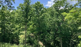 000 State Highway U, Ava, MO 65608