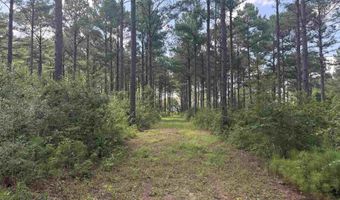 154 Perry Ln, Atmore, AL 36502