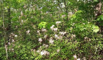 00 Hadwin Rd, Bamberg, SC 29003